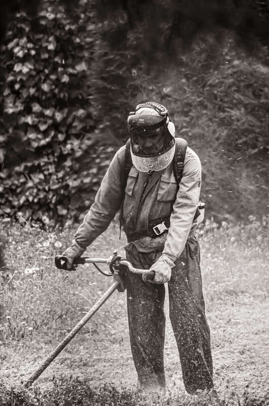 Man Mowing Lawn(Black and White)